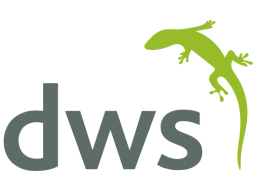 DWS Logigear Logo