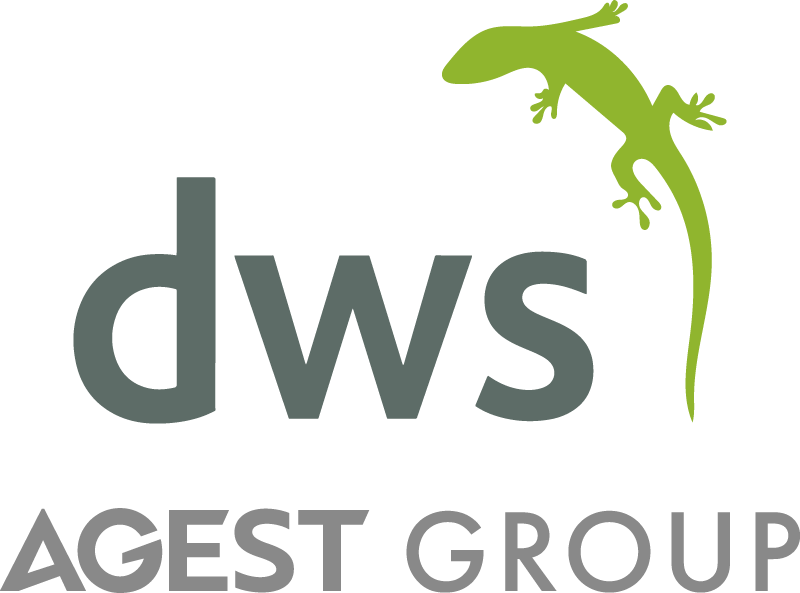 DWS Logigear Logo