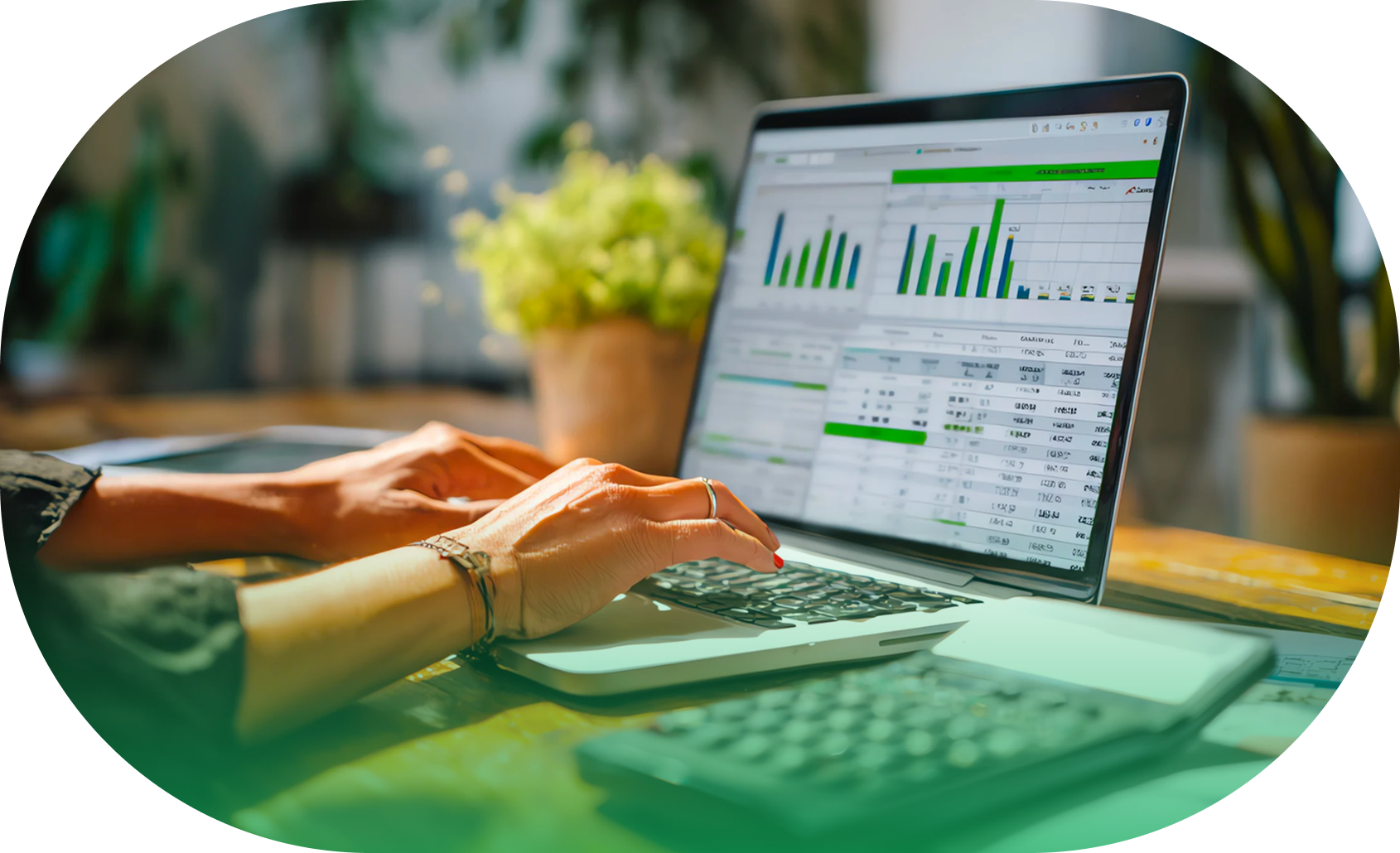 Working Developing Sw Enterprise Software Development Services | Modernise & Scale Systems | DWS